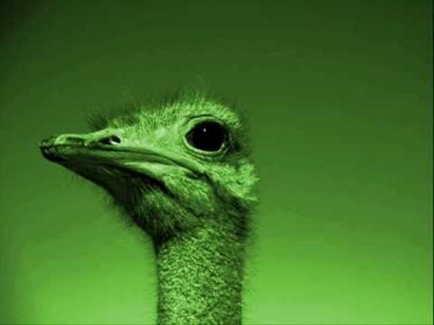 free microsoft points