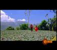 Jayachandran - Viral Thottal Viriyunna