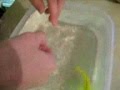 Stripping Electric Yellow Mother