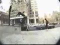 Stevie williams DGK