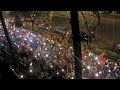 Crazy Vietnamese soccer fans celebrate on Le Loi Street