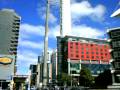 videos de TVNz