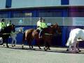 videos de liverpooll cops at goodison park