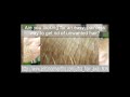 Hair Removal- Ultra Hair Away
