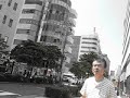 Dia opaco