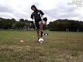 sig tutorial