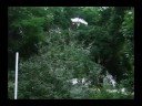 Coaxial RC helicopter, New kit!