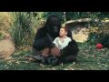 - MovieZen Video