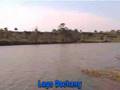 Dschang-LacMunicipal_Melong-Villa Luciole