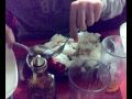 Mash 9 rice @ teka part 1