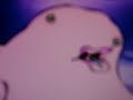 two-step-to-release-anger.html