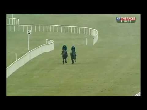 horses grand national