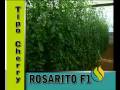 videos de TOMATES MISTRAL Y ROSARITO