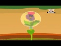 Learn About Plants - Different Parts