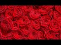 The Best 28 Mobile Wallpapers Flowers Rose Gif Images
