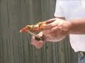 Alfresco Gas Grill Video - Pizza Demo