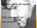 Videoyu Görüntüle