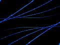 house-electro-mix-5.html