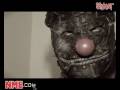 NME Video: Slipknot