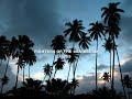FOTC09_0001.wmv
