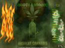 Benjie - Ganja Smoka