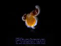 High speed video of popcorn kernel popping  at 5,400 fps