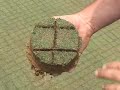 Verti-cutter