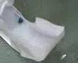 videos de goalacoaster
