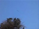 OVNIS UFO ALIEN EXTRATERRESTRE EBANI_1