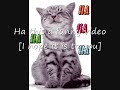 Funny Cats And Dogs!