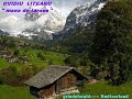 OVIDIU-LITEANU-mana-