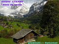 OVIDIU-LITEANU-mana-