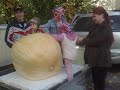 Suomen suurin (119 kg) kurpitsa Hardomissa Suomen suurin (119 kg) kurpitsa Hardomissa