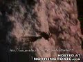 Unbelievable footage - An Eagle Grabbing its Huge Prey (sheep) Unbelievable footage - An Eagle Grabbing its Huge Prey (sheep)