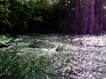 Flow