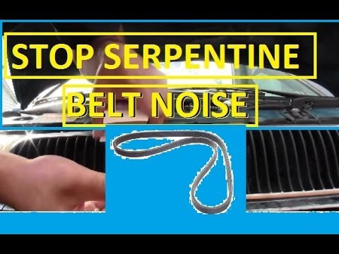 how to quiet serpentine belt