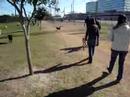 Scout and Bridget at the dog park (2)