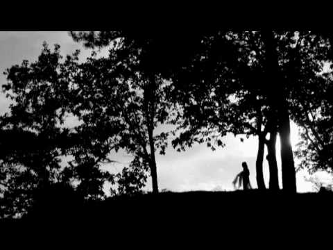 Youtube Video CXY6tAAYx_M