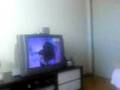 Bastidores PHG Parte 1