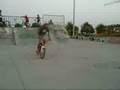 tailwhip
