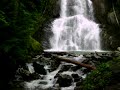 VT Torrent