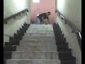 resvalon fredy