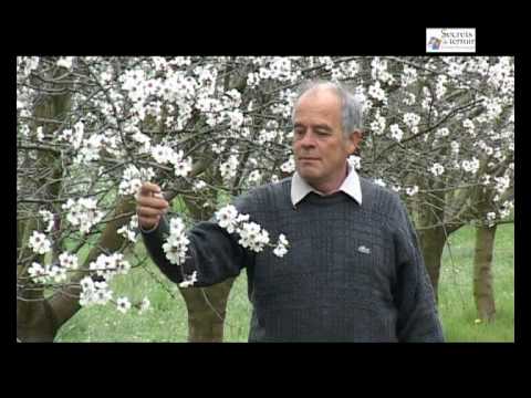 Chocolaterie A. Morin, Secrets de Terroir en Drôme Provençale