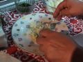 Merluza en papillote - 2ª parte