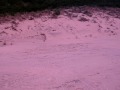 RC Sandrail VXL insane @ dunes