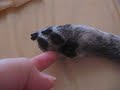 Ticklish
