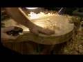 Robert Benedetto Guitar Maker