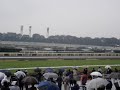 Horse Race in Kyoto!! Horse Race in Kyoto!!