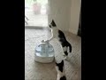 Al and Ziggy with the humidifier