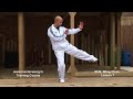 How to do Wing Chun lesson 7: basic leg combination exercise/ moving forward with single kick